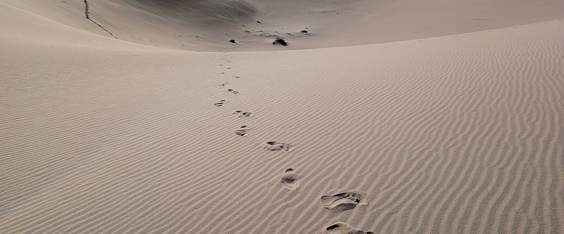 Einsame Spuren im Wüstensand als Symbolbild für das deutsche Wort Mutterseelenallein. 