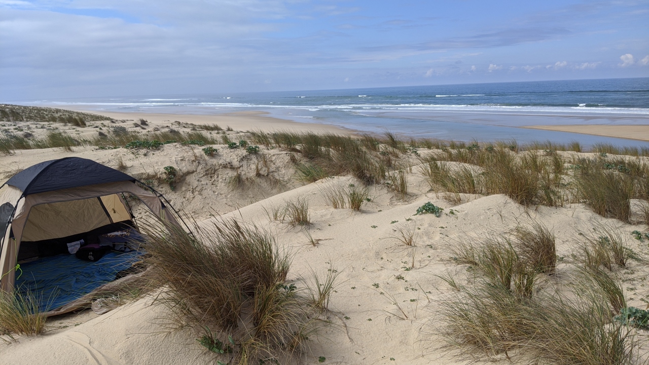 Die Atlantik Küste mit einer Strandmuschel in den Dünen