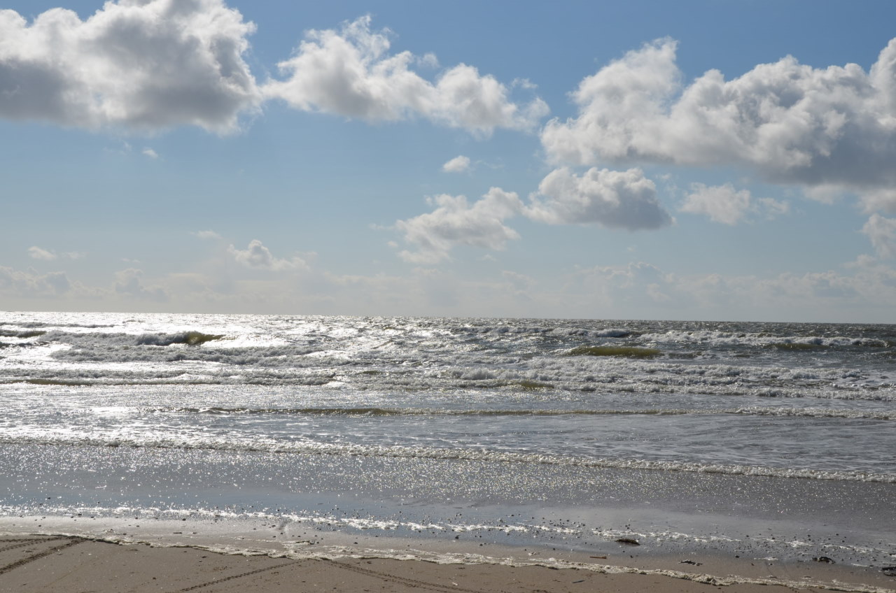 Sonnenbeschienener Nordseestrand und Meer in Dänemark