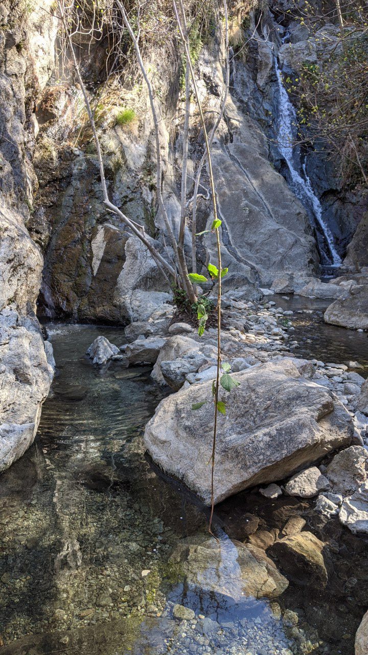 Heisse Quelle mit 40 Grad in Thues-les-Bains im Torrent de Faget