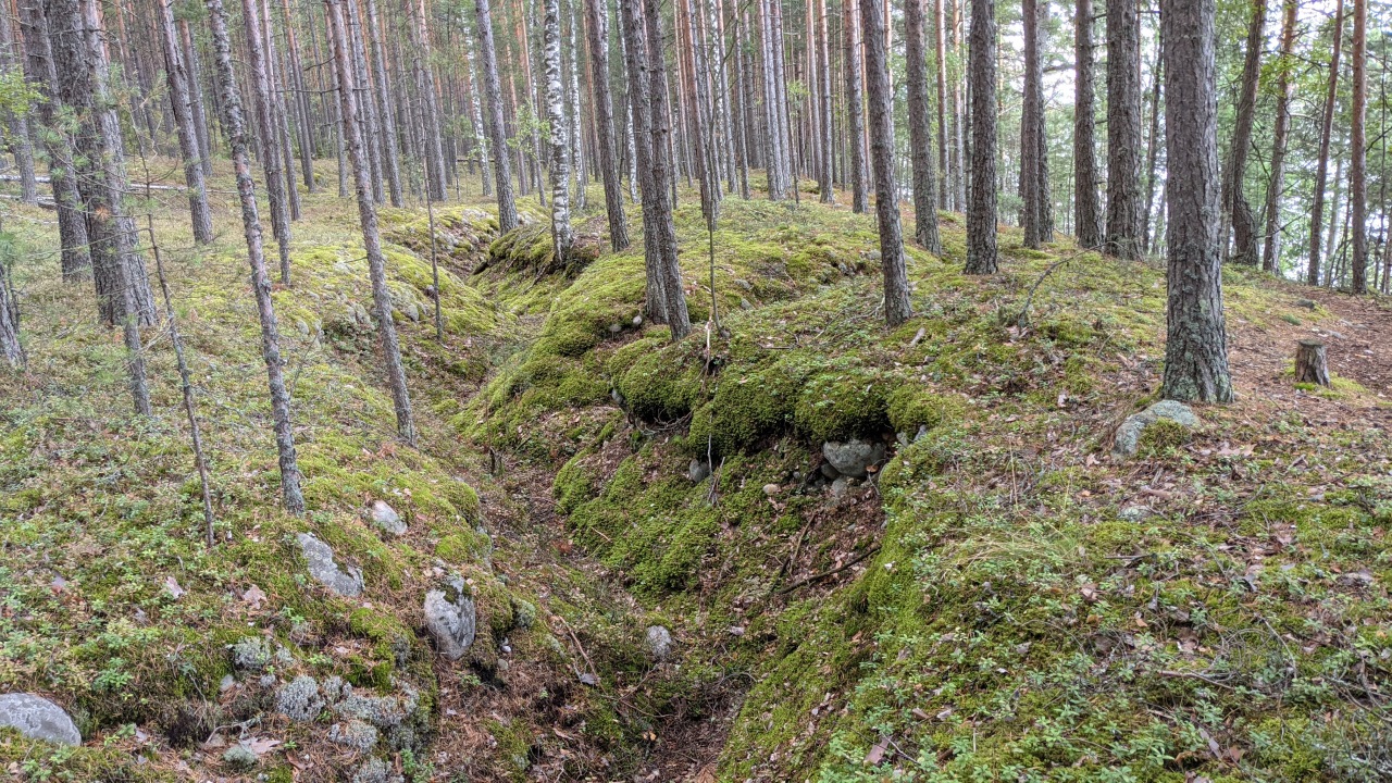 Eingefallener Schützengraben der Salpa Linie