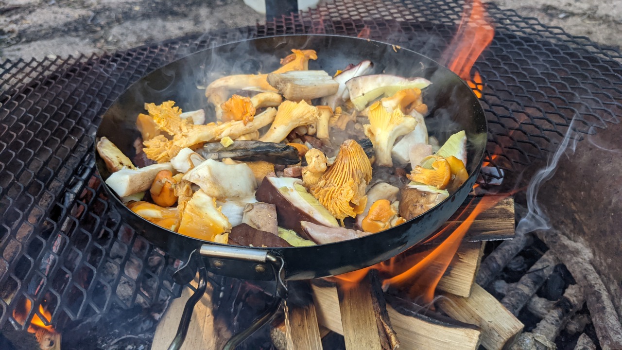 Eine Pilzpfanne brutzelt auf einem offenem Holzfeuer