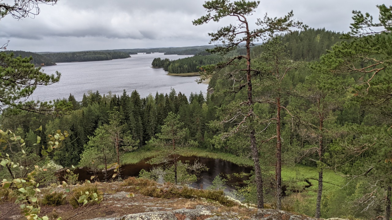 Übersicht Wald und Seen in Finnland an einem bewölkten Tag 