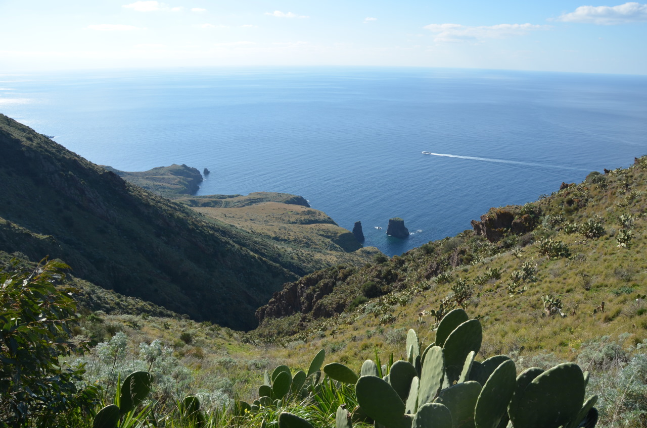 Panorama Bild von Lipari. Im Vordergrund sind grüne Hügel, während im Hintergrund ein Fragflügelboot über das Meer zieht. 