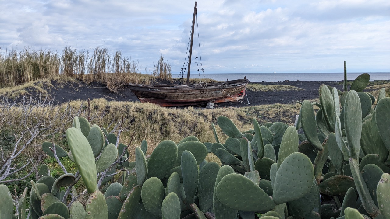 Ein Segelboot aus Holz am Strand von Stromboli, im Vordergrunf sind grüne Kakteen