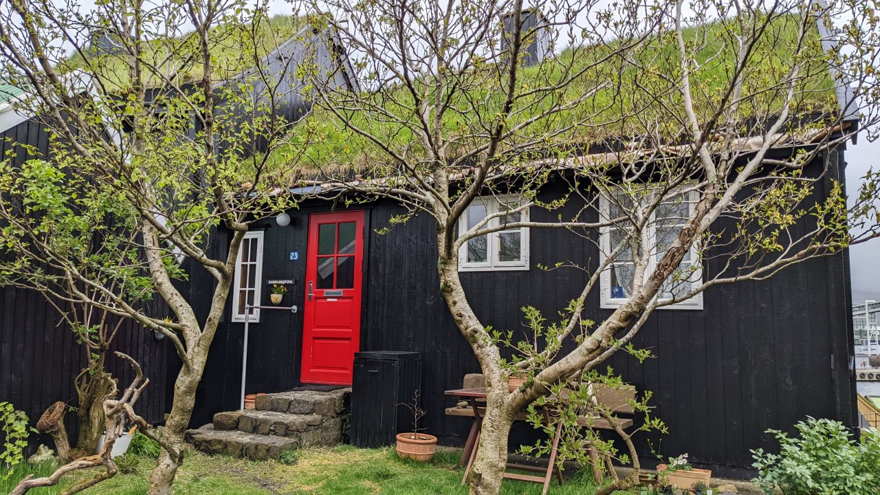 Ein altes schwarzes Holzhaus mit roter Tür und Grasdach in Torshaven Tinganes. Vor dem Haus wachsen zwei Birken. 