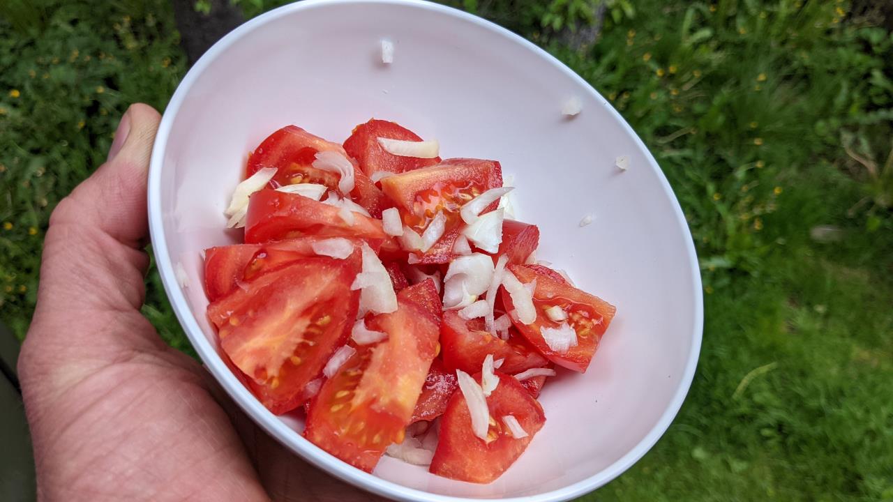 Eine weisse Schale mit einem Tomatensalat aus Tomatenscheiben und Zwiebeln. 