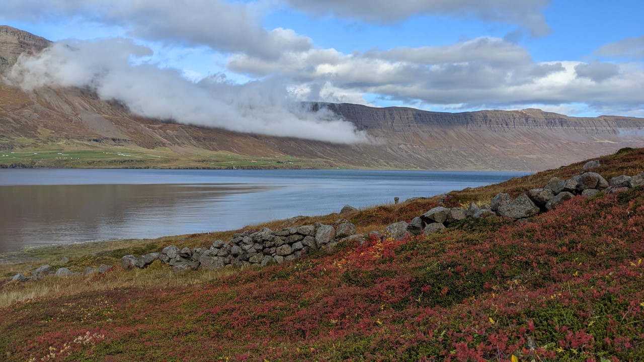 Blick auf den Seydisfjördur Island