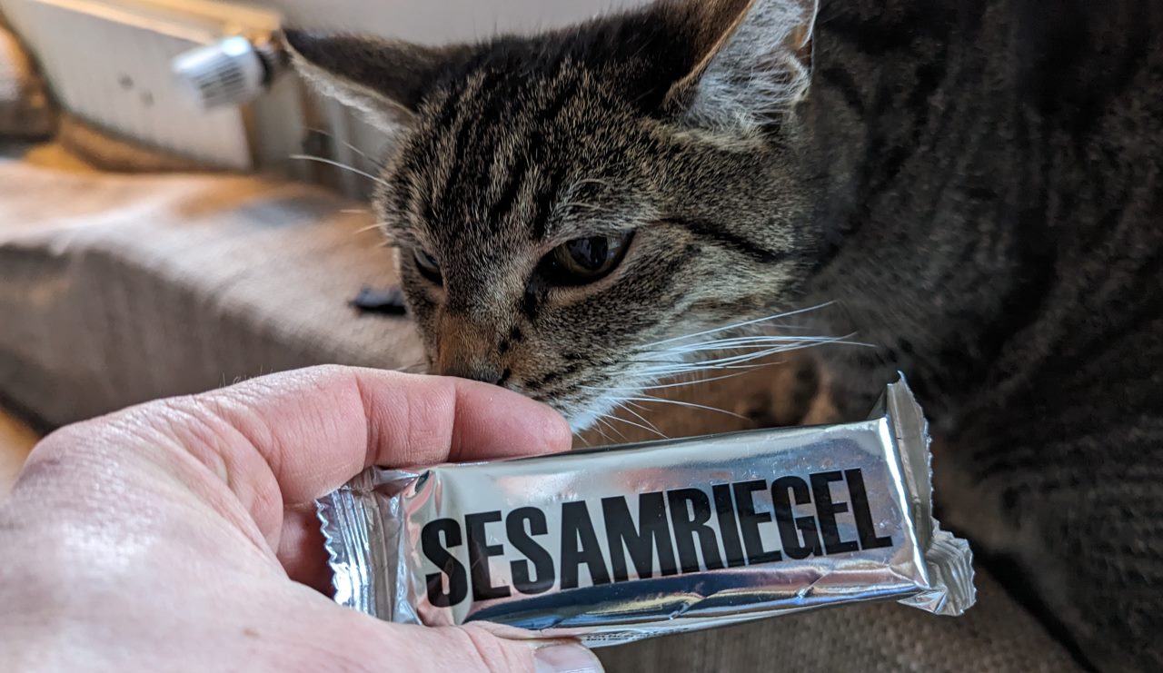 Eine Katze schnuppert an einem silbernen Sesamriegel