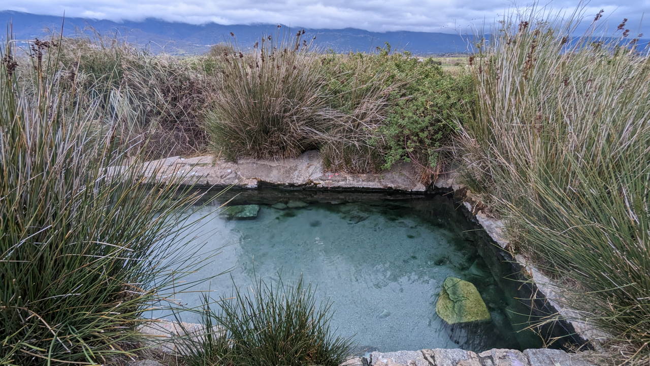 Eine natürliche heisse badequelle in Sardinien, umgeben von grünen Binsen 