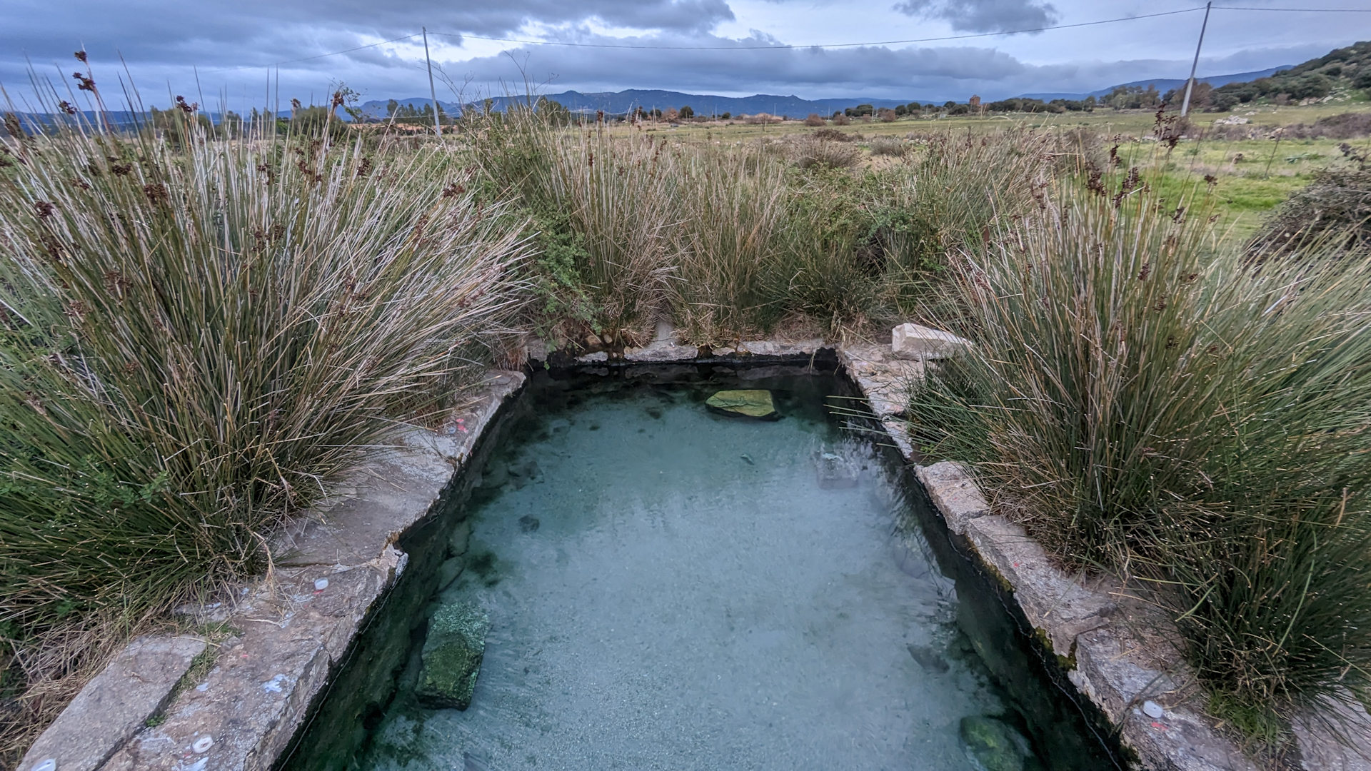 Heisse Thermalquelle in Sardinien mitten in der Natur. Ein quadratisches Becken zwischen Binsen Sträuchern mit blau schimmernden warmen Wasser