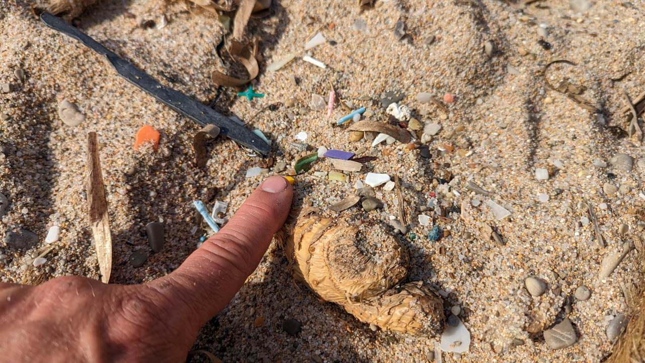Ein Finger zeigt auf sehr kleine Plastik Krümel an einem Sandstrand