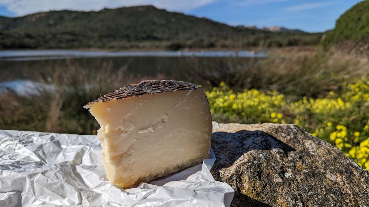 Stück Käse aus Sardinien 