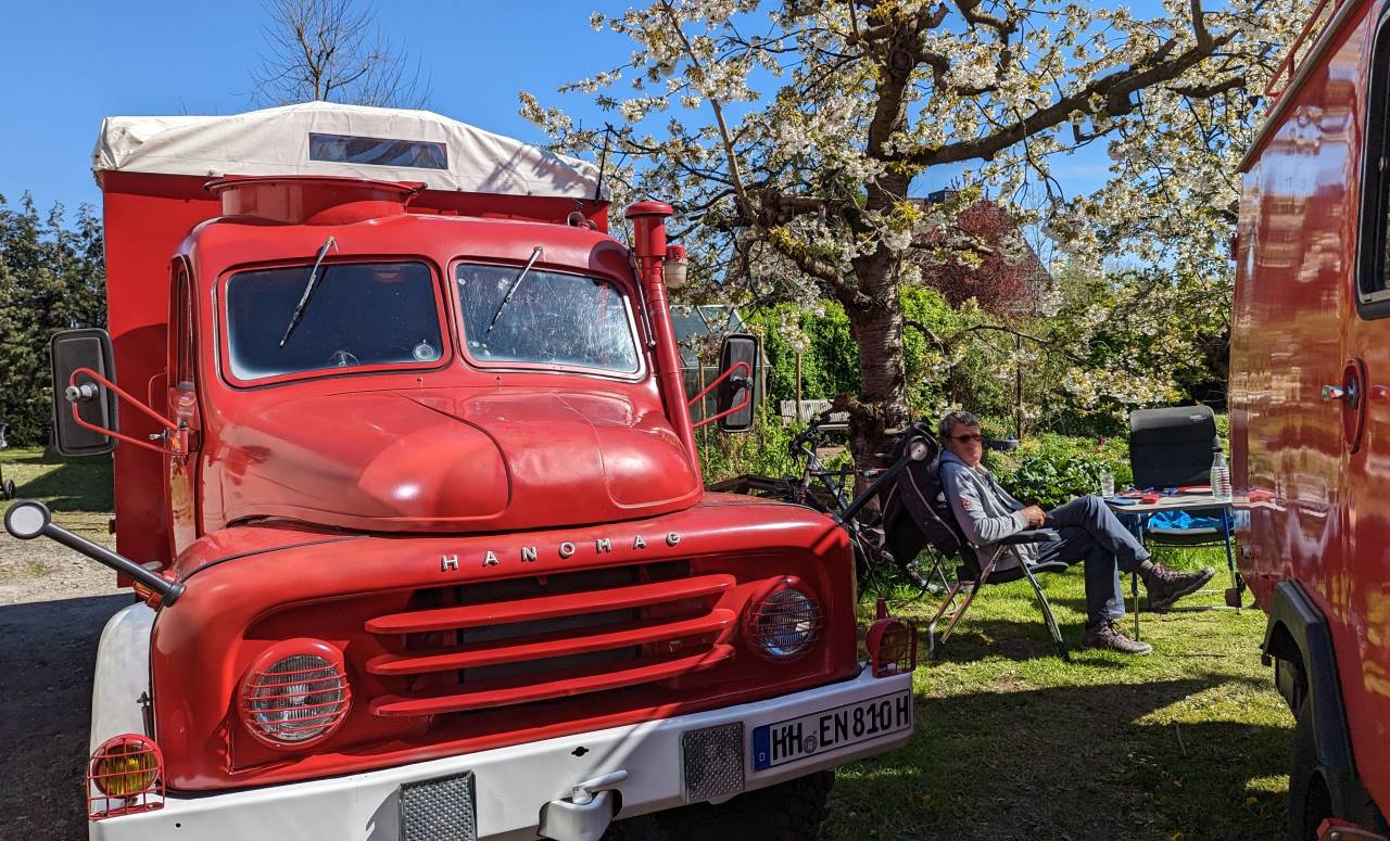 Ein feuerroter Hanomag AL28 von vorne fotografiert neben einem blühenden Baum