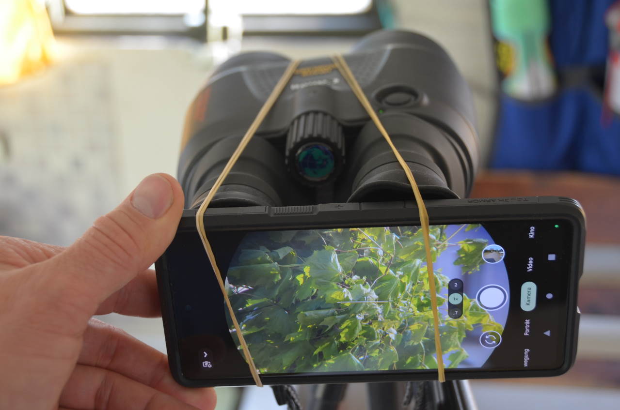 Ein Google Pixel 7 Handy ist mit Gummibändern an einem Fernglas befestigt worden, um improvisiert durch das Fernglas zu fotografieren.  