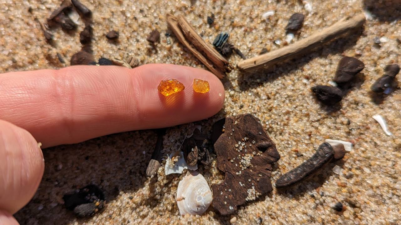 Zwei kleine Bernstein Stücke auf einem ausgestreckten Zeigefinger