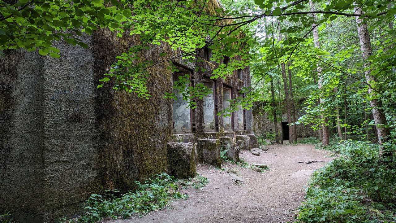 Bunker der Mauerwald Anlage im Wald, Polen