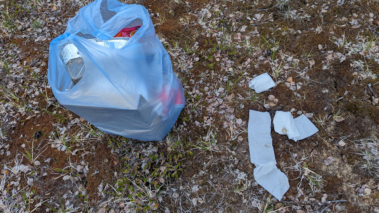 Aufgesammelte Abfälle in einer blauen Plastiktüte und Klopapier