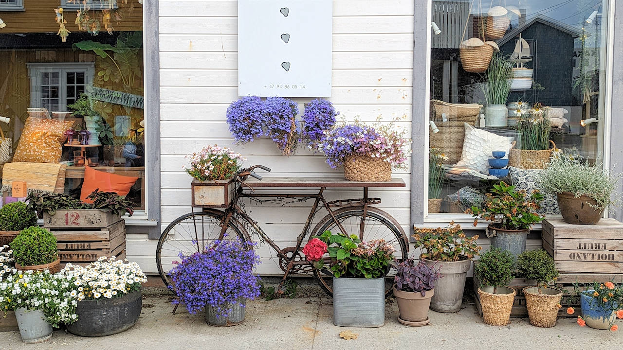 Ladendekoration vor einem kleinen Geschäft in Henningsvaer mit einem alten Fahrrad und bepflanzten Blumentöpfen