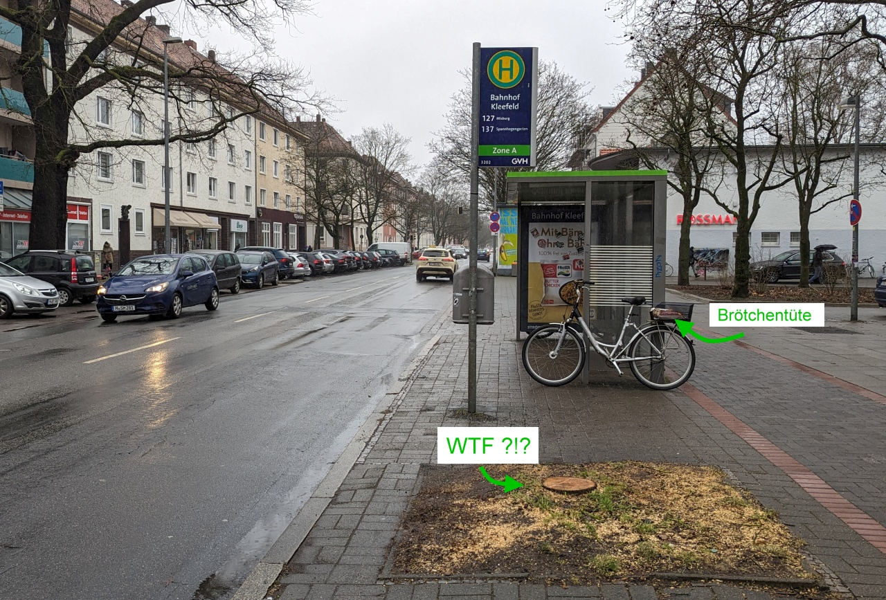 Gefällter Baum in der Berkhusenstrasse Hannover Kleefeld