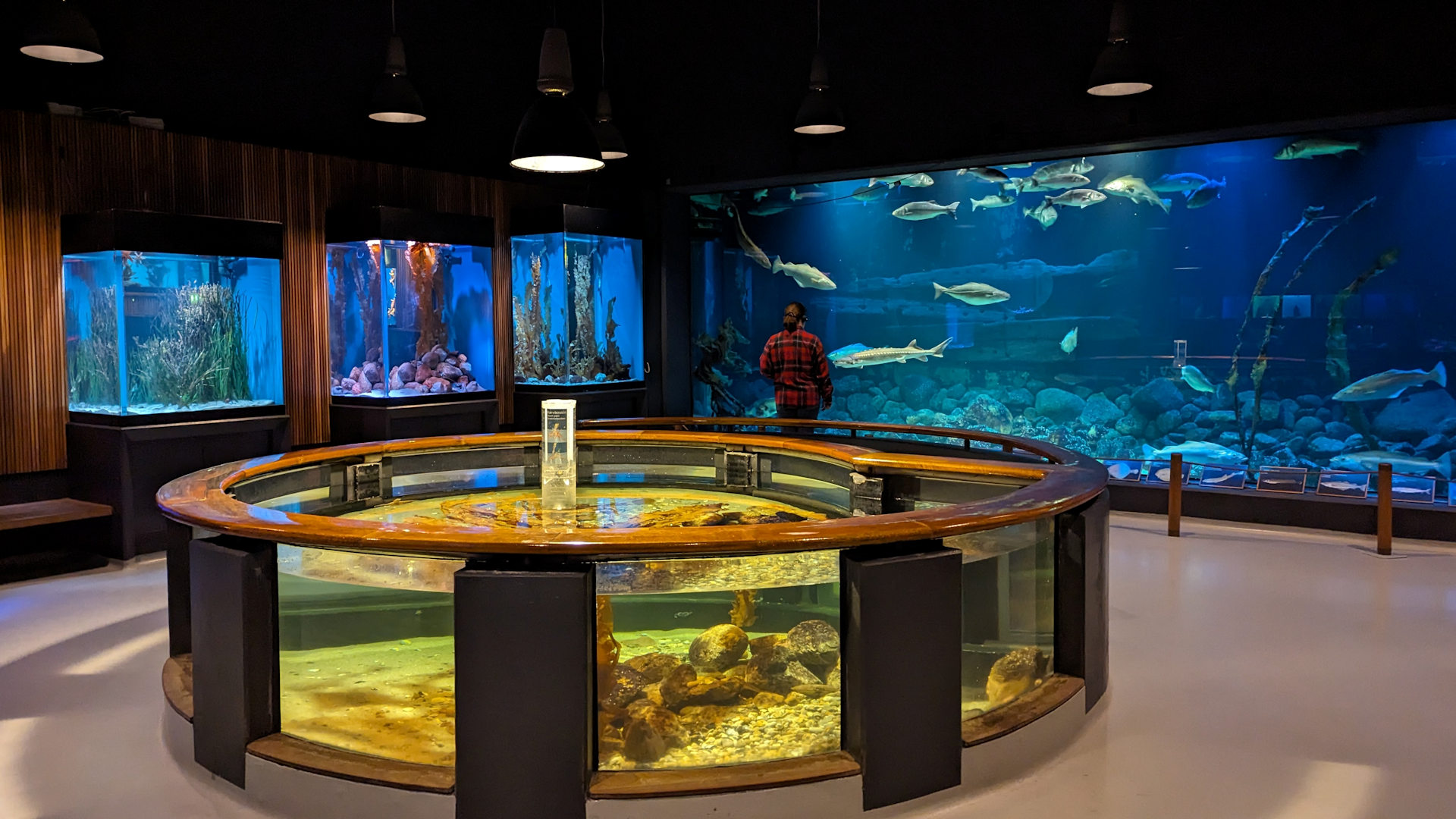 Fischereimuseum Esbjerg, Aquarium 