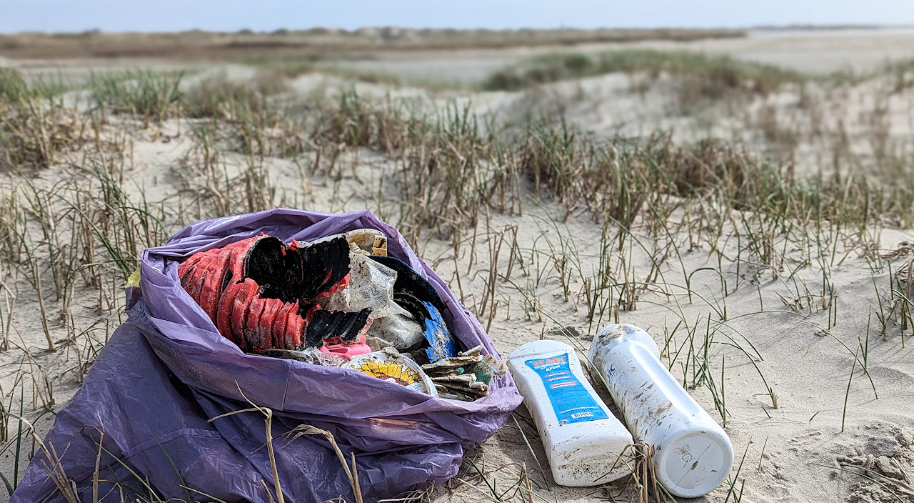 Plastikabfälle in einer lila Tüte am Strand von Fanø Dänemark