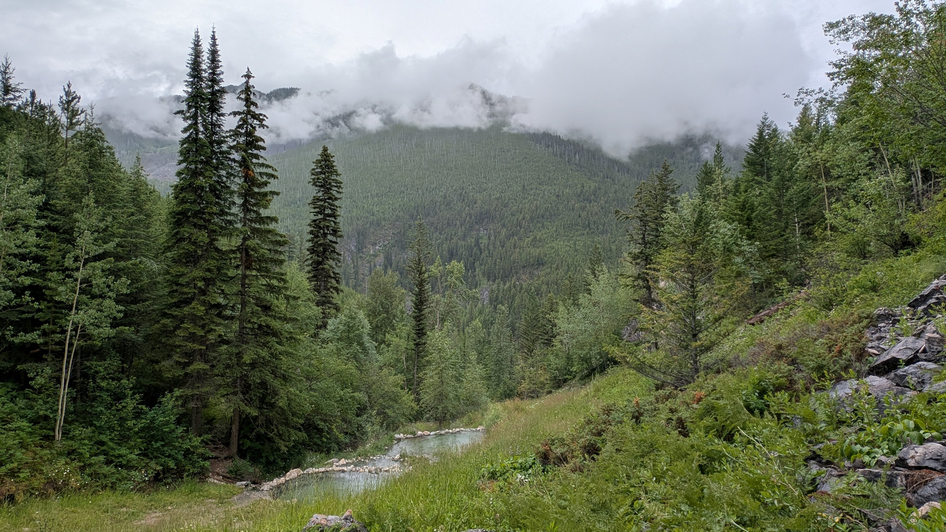 Ram Creek Hot Spring mitten in der Natur zwischen Bäumen und wolkenverhangenen Bergen im Hintergrund