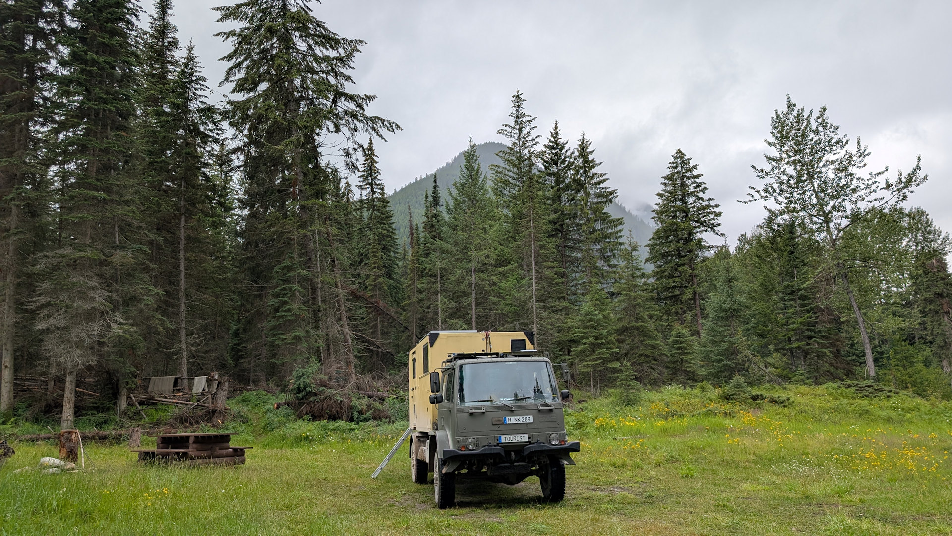 DAF T244 LKW parkt auf einer Wiese mit Holztisch und Bäumen mit einem Berg im Hintergrund