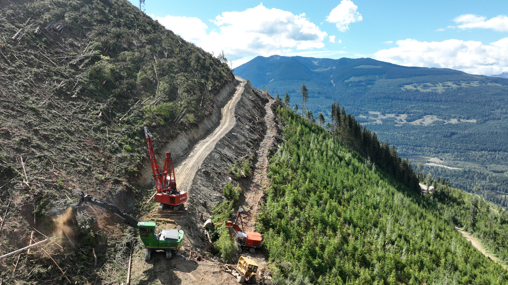 Baumfällmaschinen an einem Hang in den Bergen Kanadas