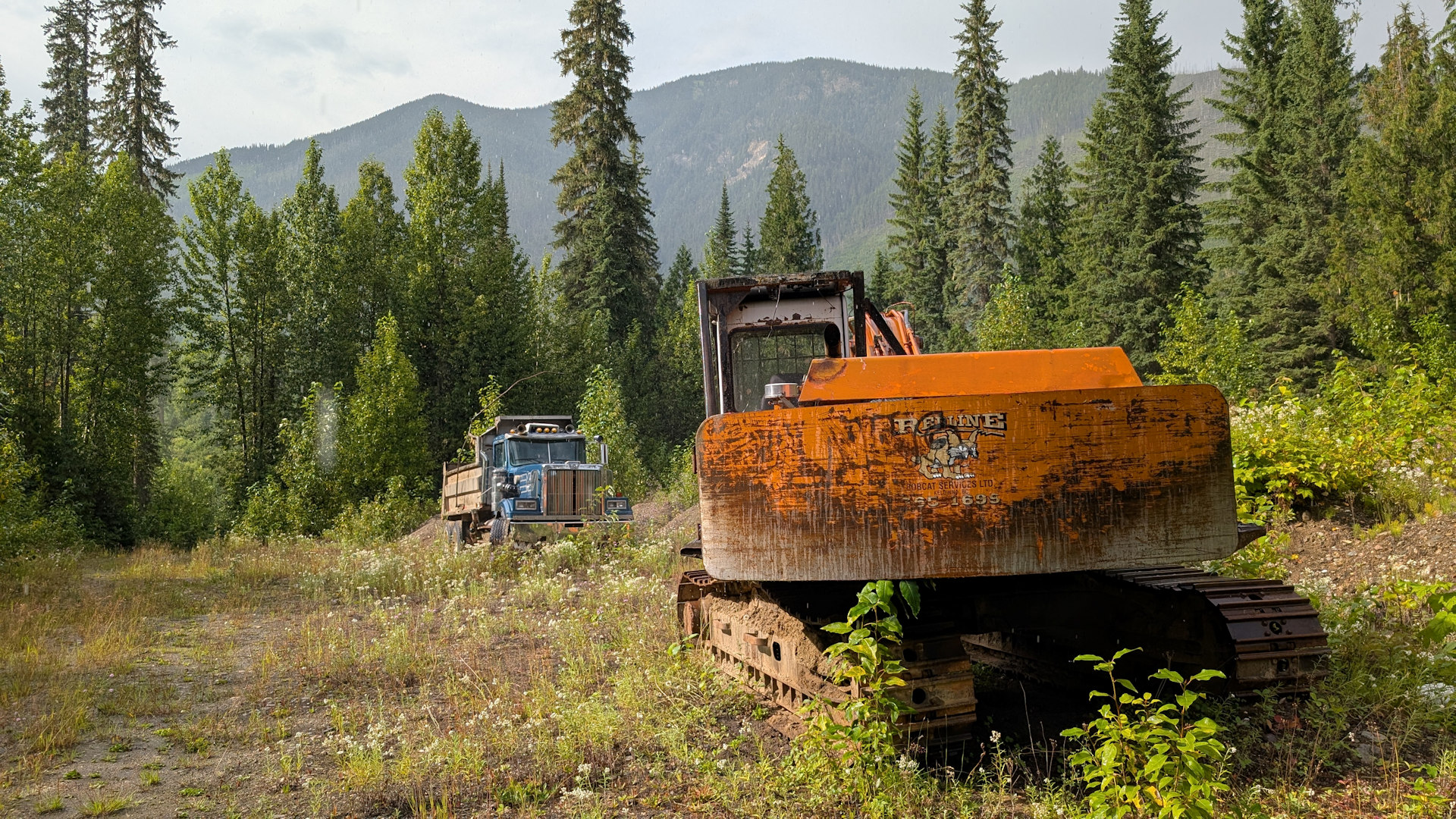 Blauer LKW und orangener Bagger stehen in einem Wald
