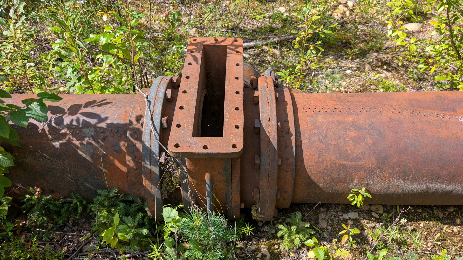 Rostiges Absperrventil für Wasser 