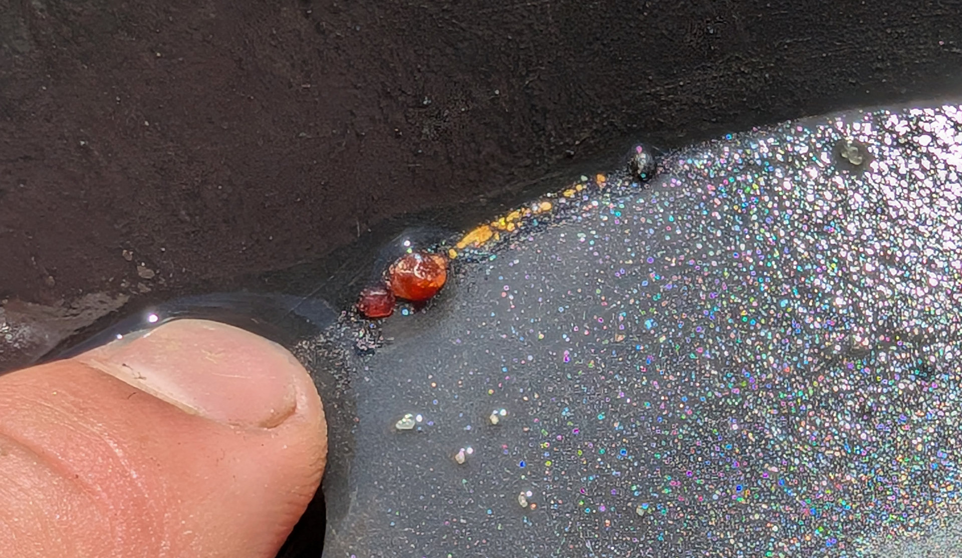 Gold Krümel in einer schwarzen Goldwaschpfanne