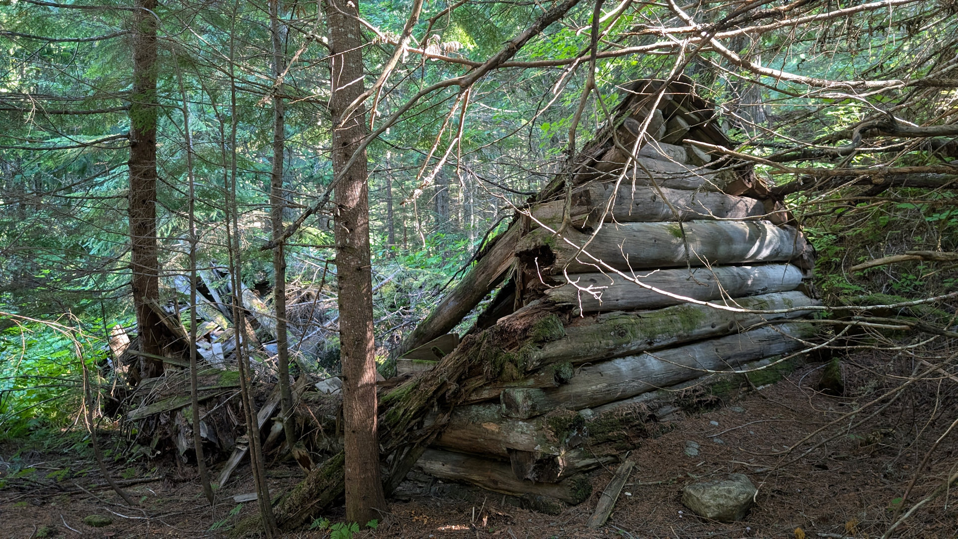 Eingefallene Holz Hütte im French Creek