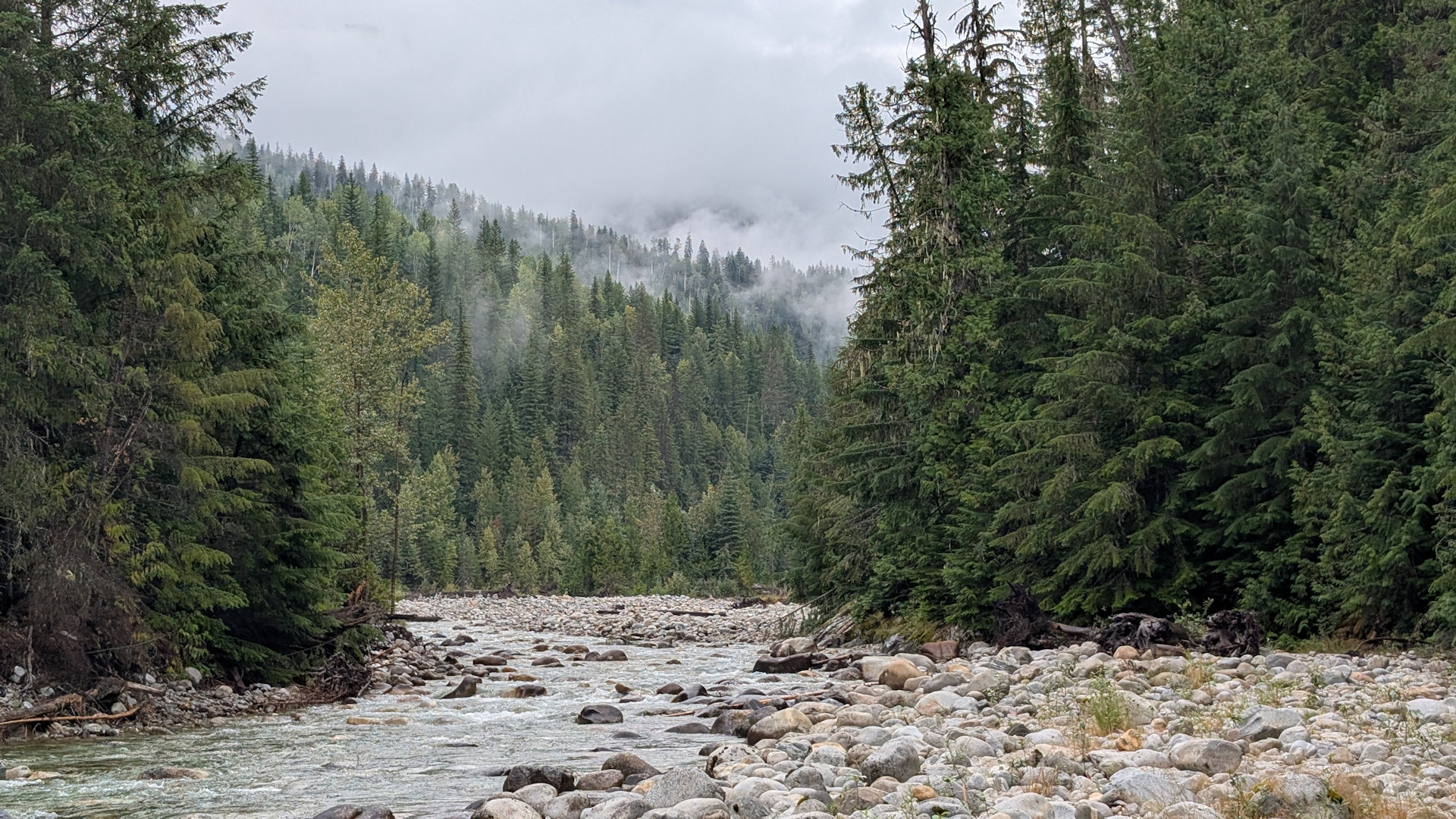 Fluss umstanden von grünen Bäumen im Canyon der der Half Way Hot Spring