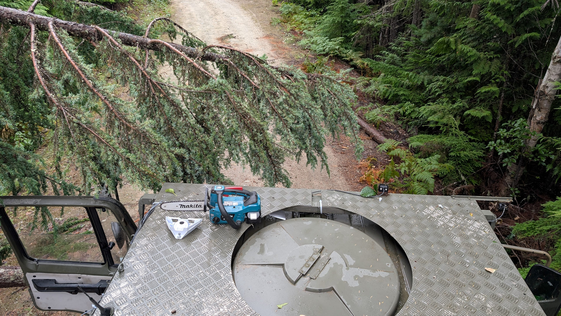 Baum ist auf einem Waldweg vor einen LKW gestürzt. Vom LKW Dach aus fotografiert mit griffbereiter Makita Kettensäge