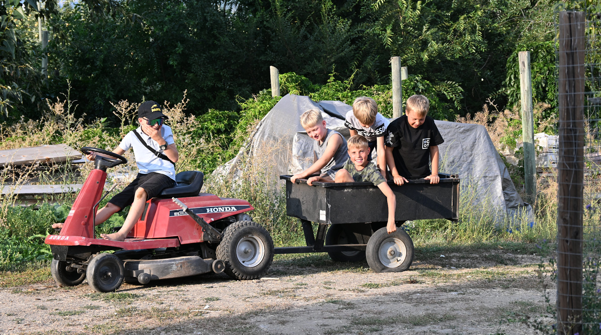 Kinder fahren mit einem Rasenmäher und Anhänger herum 