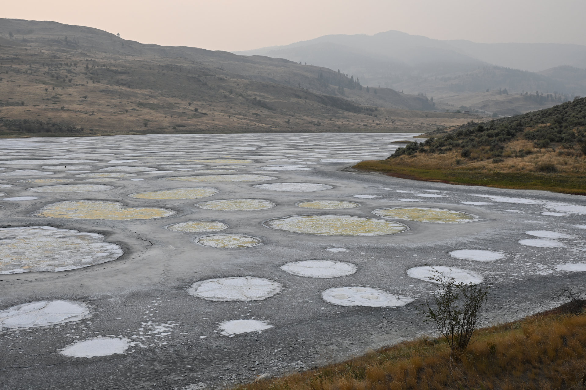 Ponds vom Spotted Lake