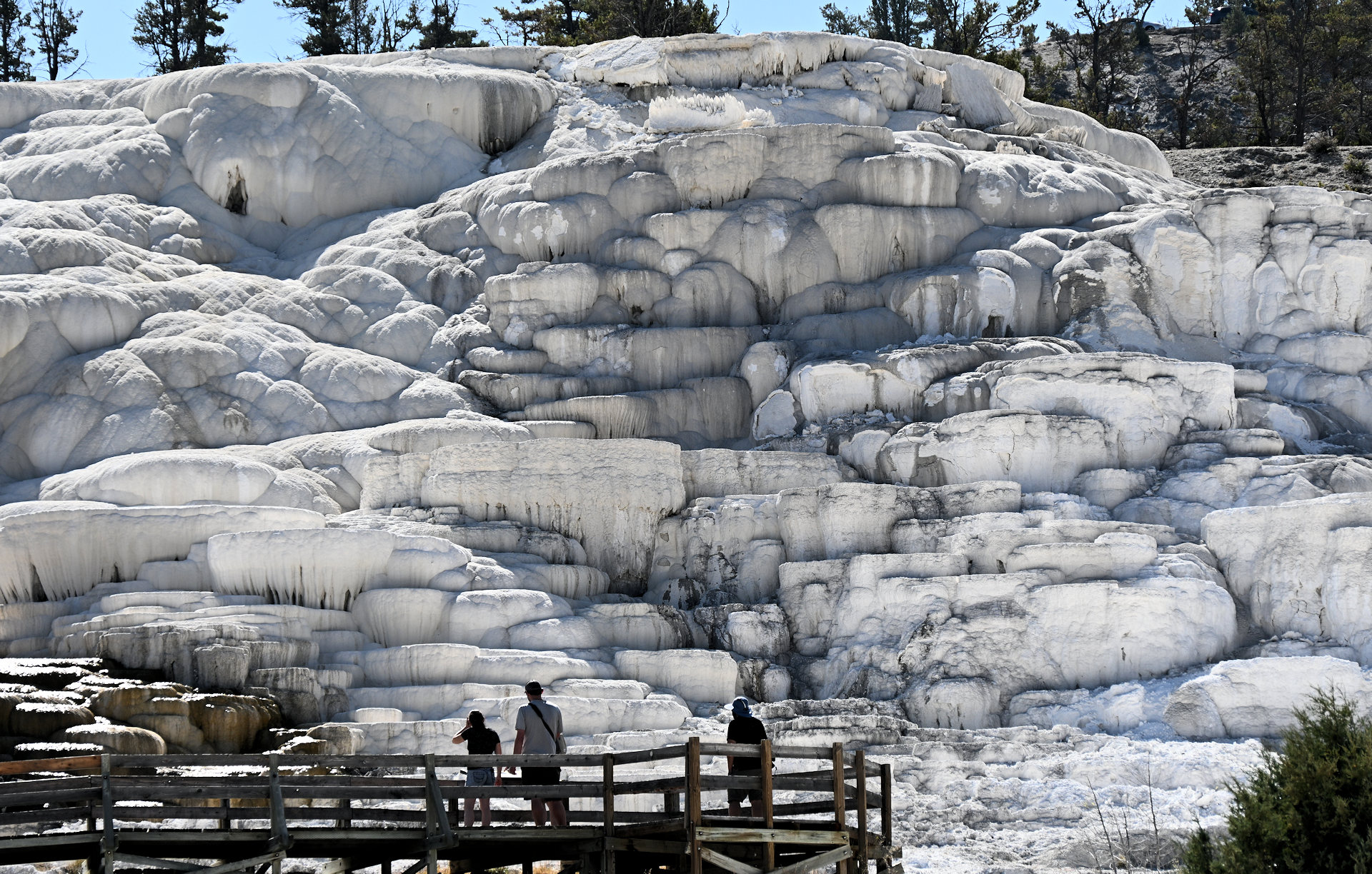 Weisse Sinter Terrasse im Yellowstone Nationalpark 