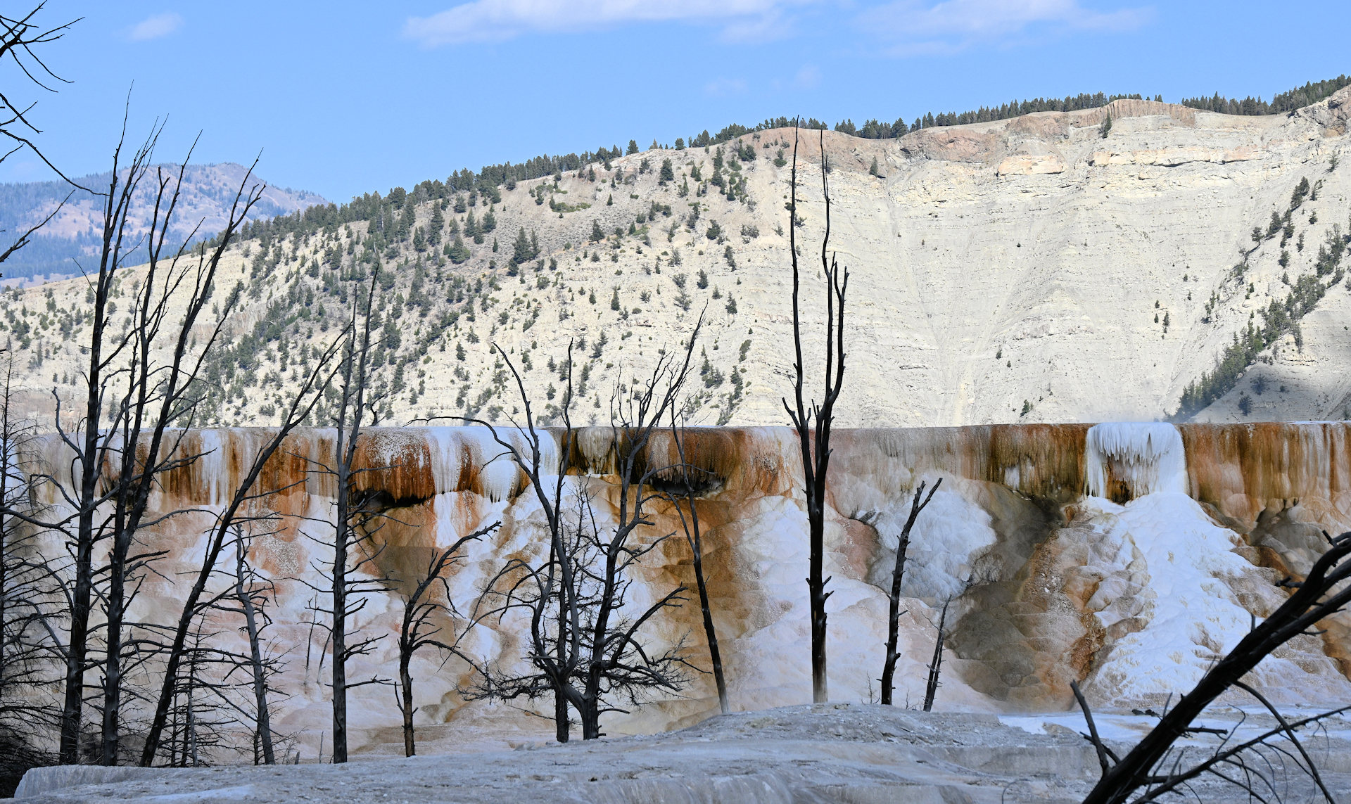 Sinter Terrasse im Yellowstone Park Mammoth 