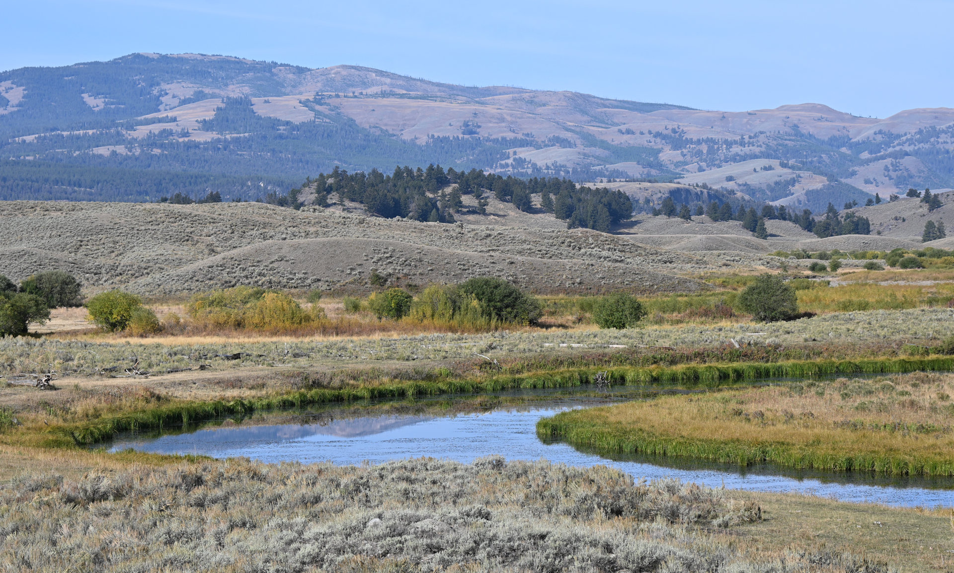 Safarilandschaft mit Fluss im Yellowstone Nationalpark 