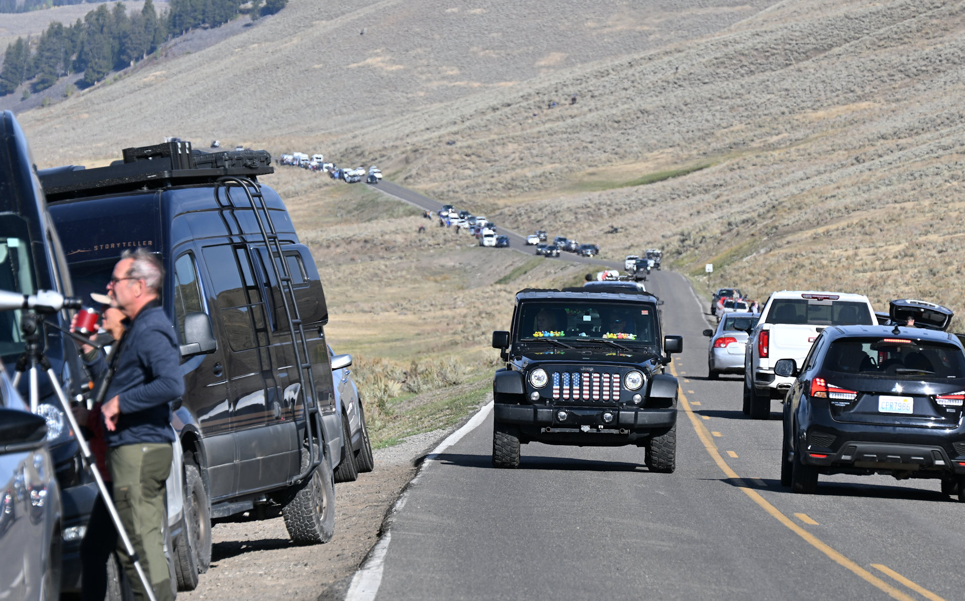 Autostau im Yellowstone Nationalpark 