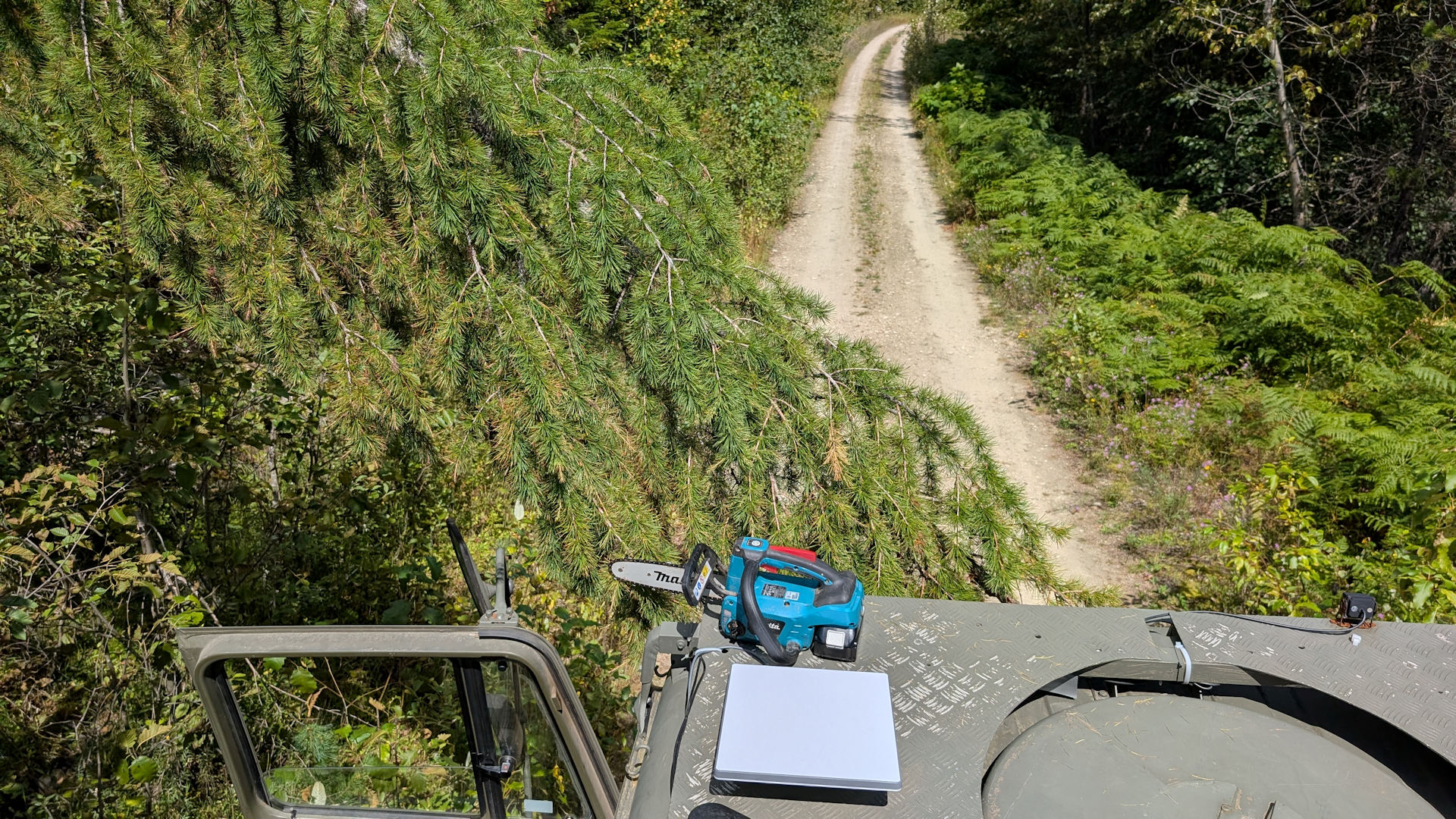 Baum ragt in einen Waldweg hinein, fotografiert vom LKW Dach aus auf dem eine Elektro Kettensäge liegt