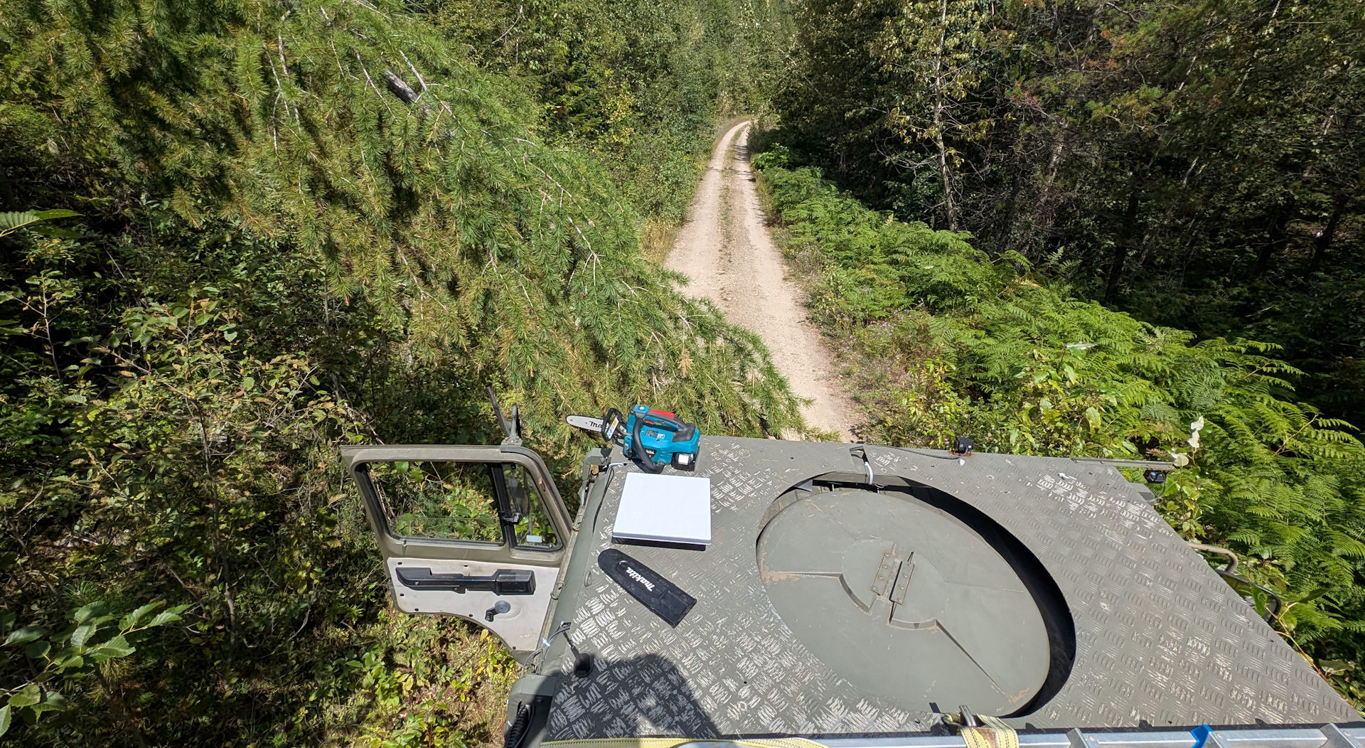 LKW fährt mit Starlink Mini Antenne auf dem Dach über einen Waldweg mit tief hängenden Ästen 