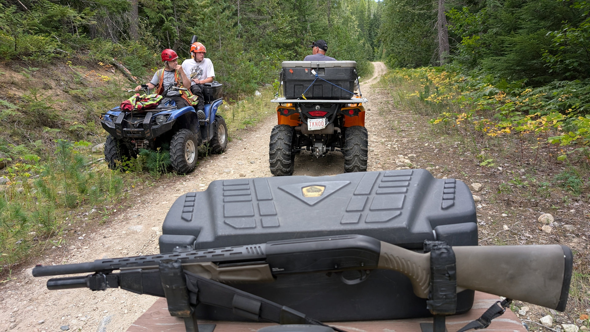 Zwei Quads auf einem Waldweg 