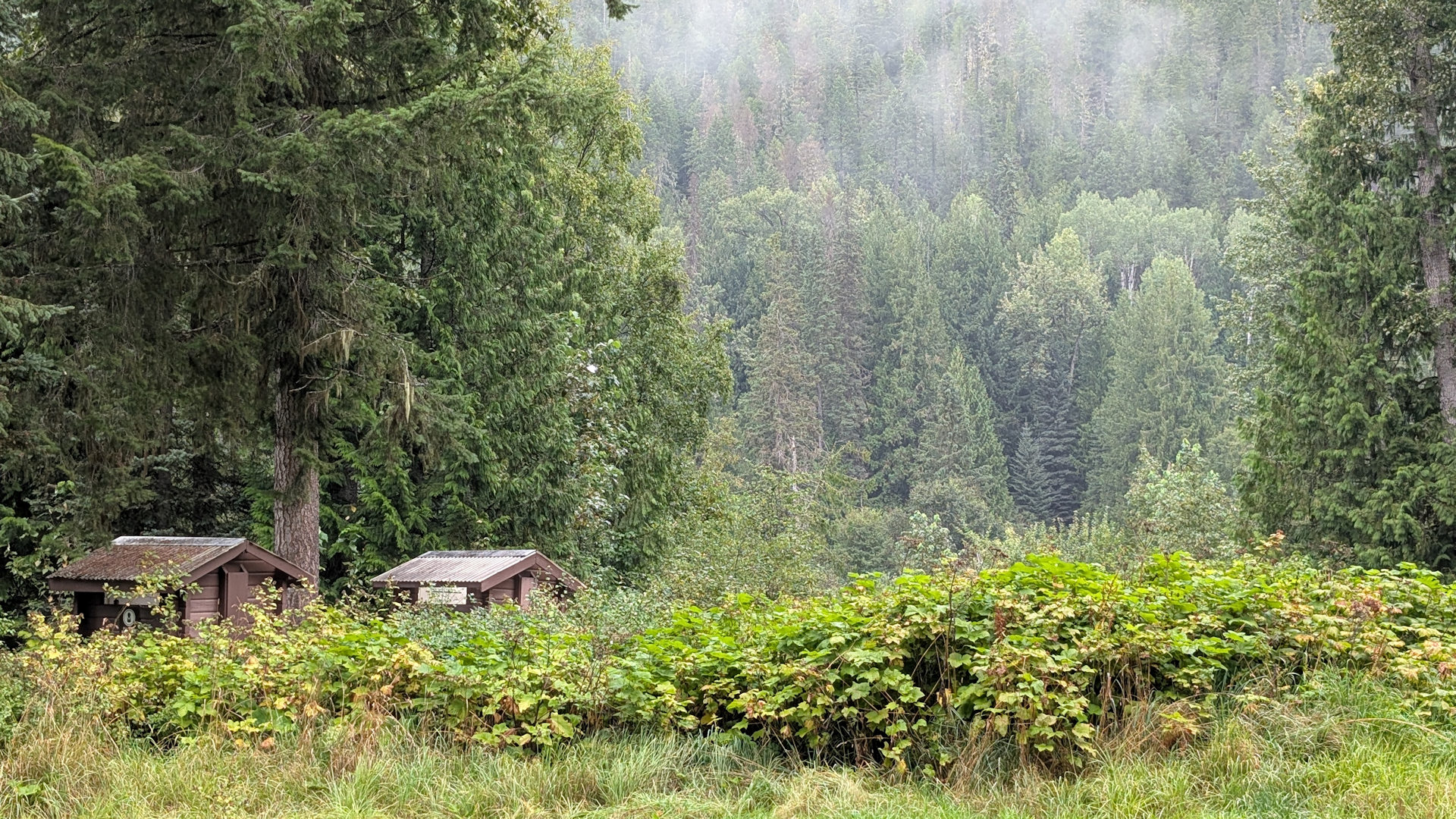 Wolkenverhangener grüner Berghang mit zwei kleinen Hütten 