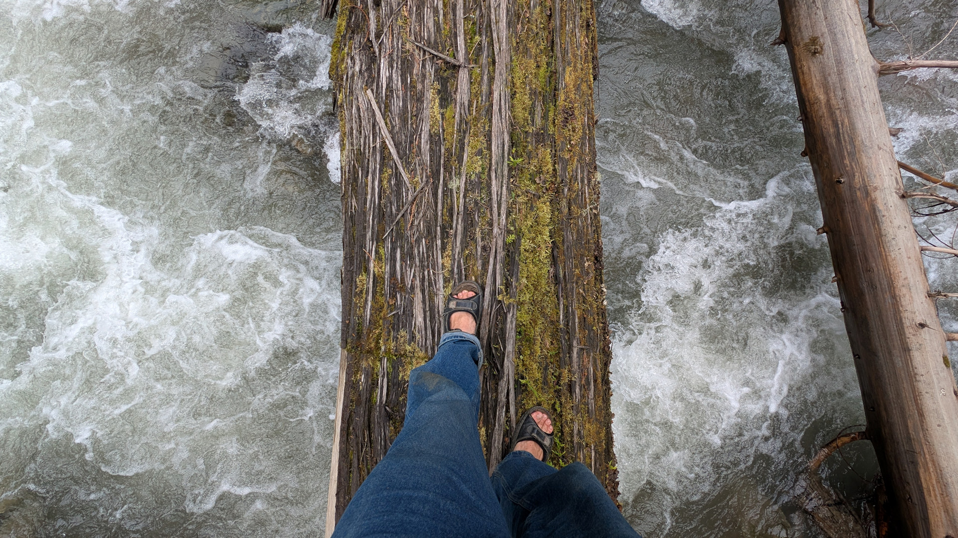 Balance auf einem Baumstamm über einem reissen Gebirgsbach