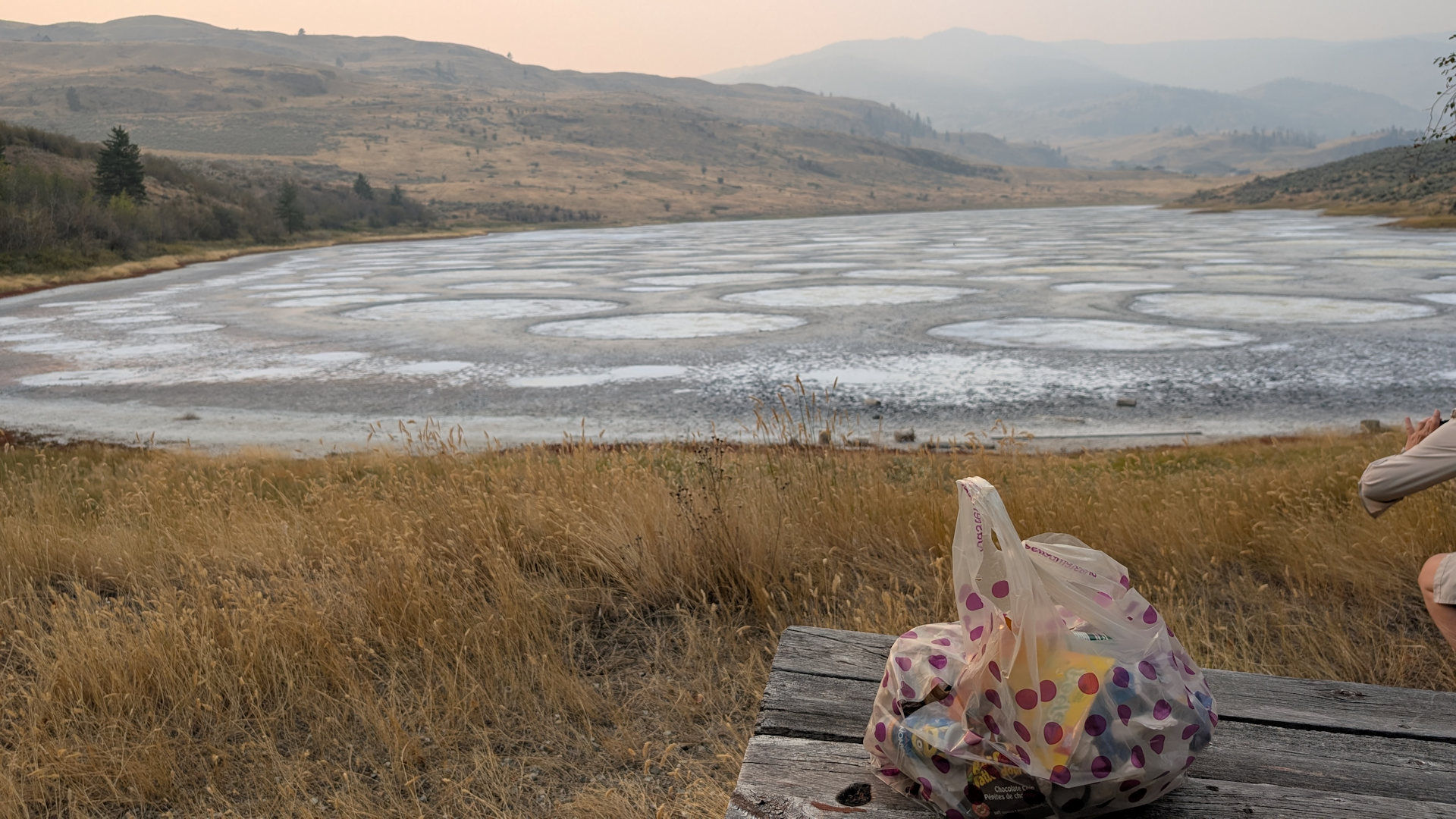 Plastiktüte mit Abfällen die beim Spotted Lake aufgesammelt wurden