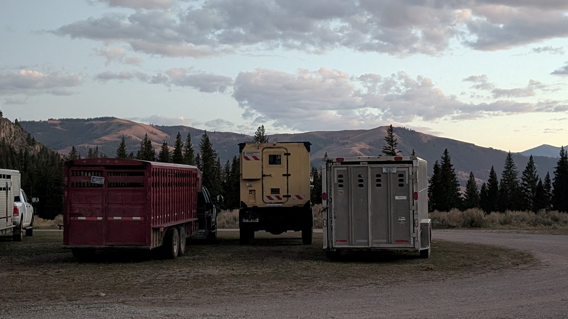 DAF T244 parkt versteckt zwischen zwei Vieh Transportern 