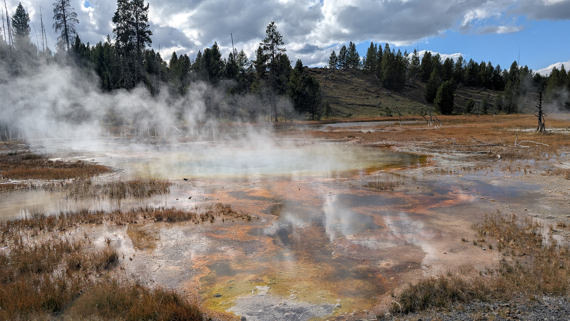 Dampfschwaden über den heissen Quellen vom Yellowstone Nationalpark