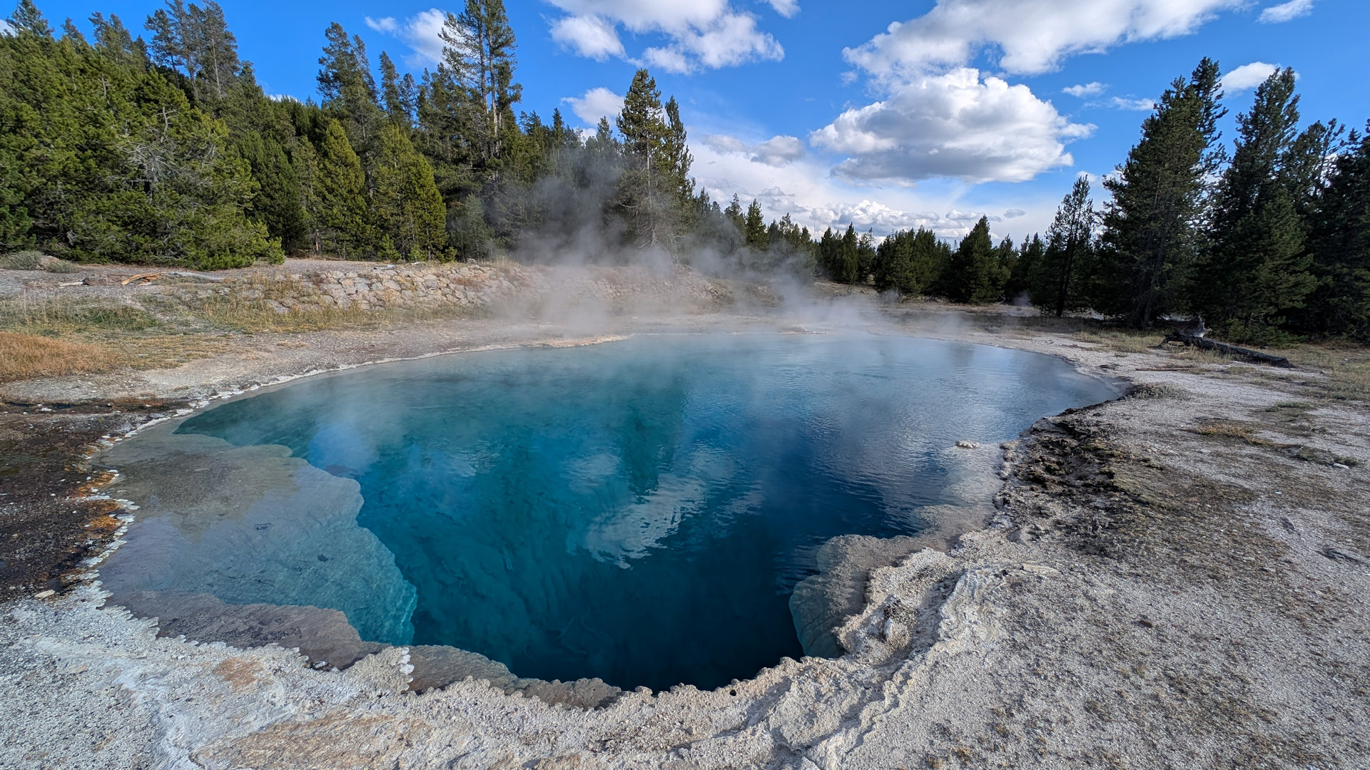 Hellblau schimmernde heisse Thermalquelle im Yellowstone Nationalpark 